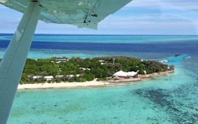 AMAZING VIDEO: front row seats to reef in new sea plane